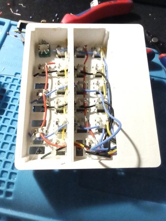 The guts
